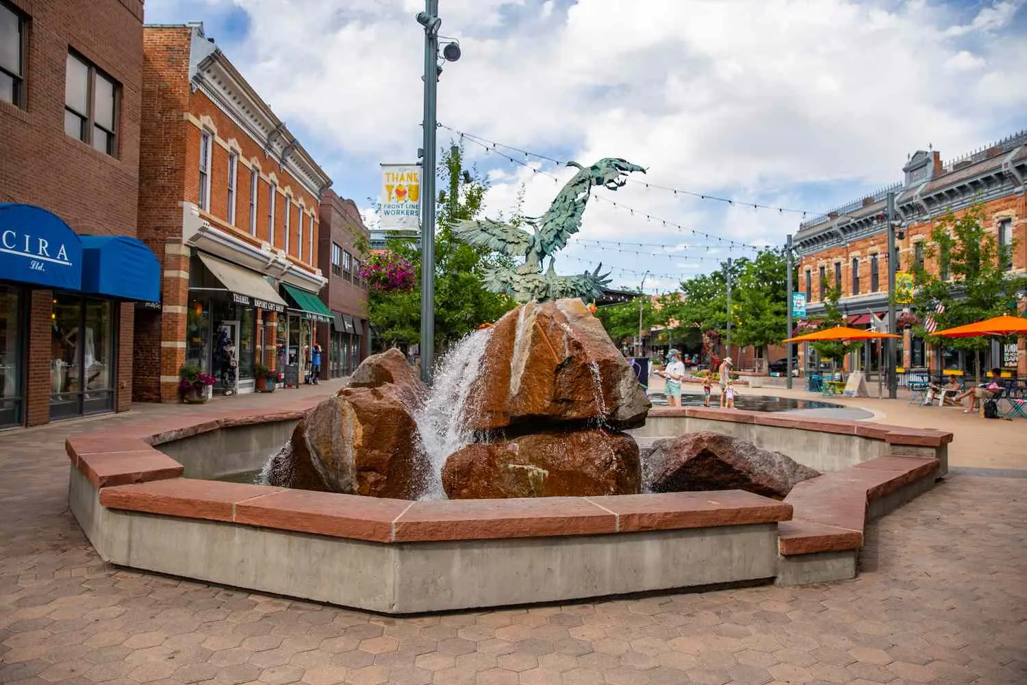 Expert Podiatric Care in Fort Collins