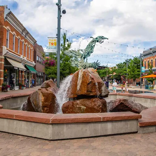 Expert Podiatric Care in Fort Collins 