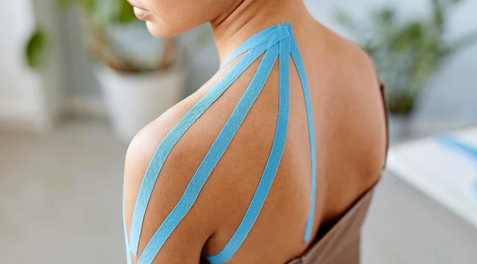 Brachial Plexus